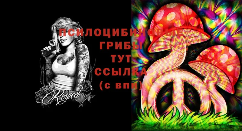 Галлюциногенные грибы Psilocybe  магазин продажи наркотиков  МЕГА   Западная Двина 